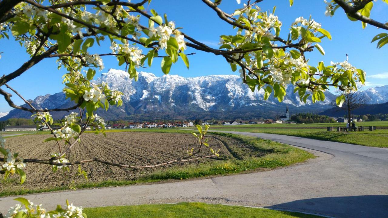Vor Den Toren Salzburgs Wals-Siezenheim Zewnętrze zdjęcie